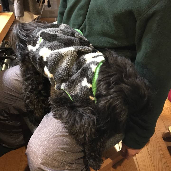 1e635af9 3e83 4f7f 8e85 44b84e93a9ba