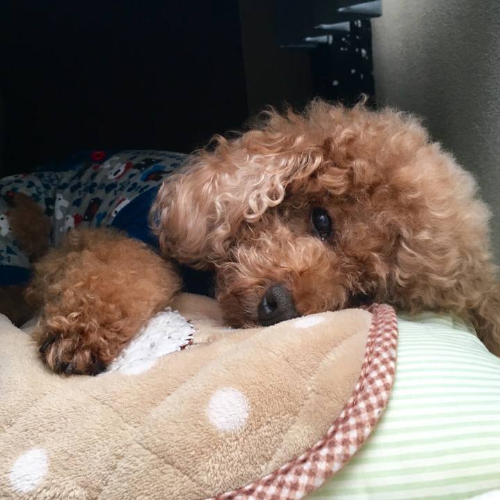 1e63a8f8 f7e4 439b 95b1 716b8b250e0c