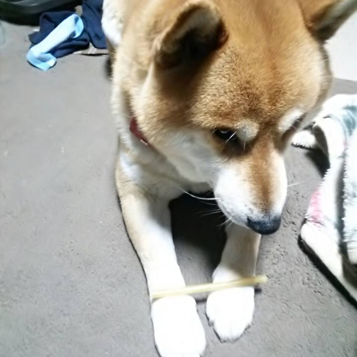 1e63e8f1 bcbd 4713 bc8a 31f0ac8466e3