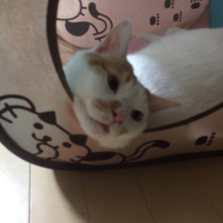 1e653a2b eb7c 4300 a3a7 008289c151e7