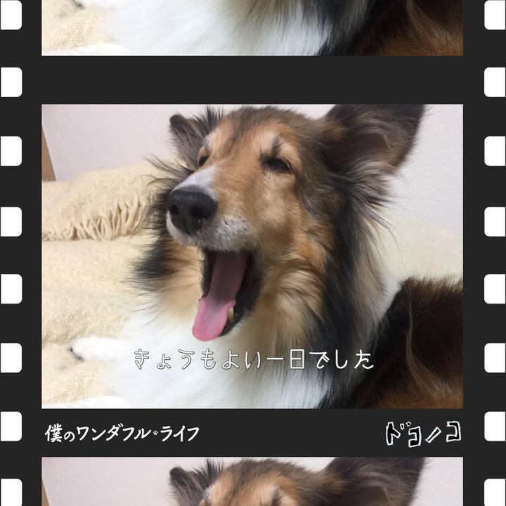 1e6554c0 abce 48b5 8f80 0f0e3c336a04