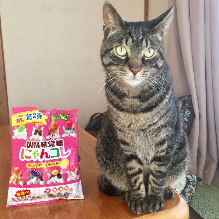 1e655bd9 6a9a 4a64 b746 256727b9fab3