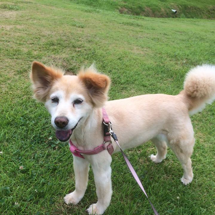 1e656965 6a05 47ff 94af 21f03ca92cf4