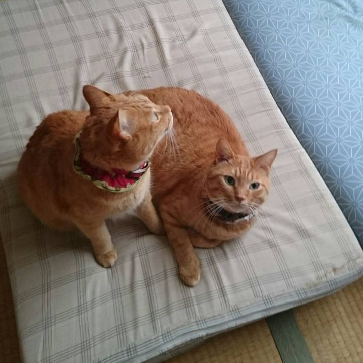 1e668e08 bc3b 48b7 88f9 e22c9fba6b44