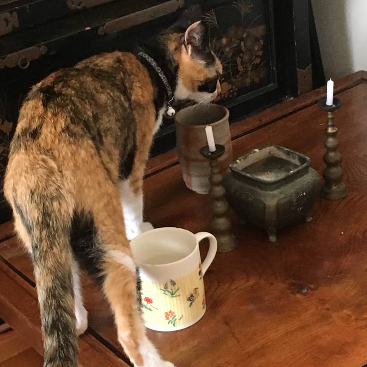 1e66e27f fe6d 4996 9766 e3dc428c7696