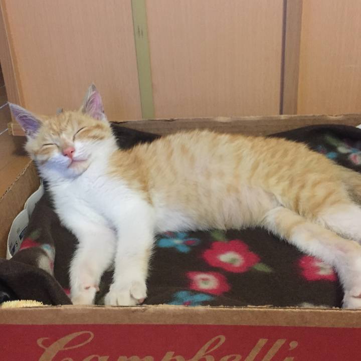 1e67eda6 d4fe 4e4c 924b 553c5f14a3c2