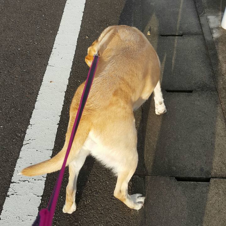 1e67fa16 5292 49fa b45c 4f178babd91a