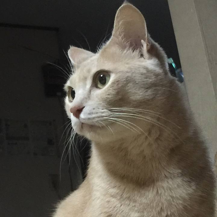 1e686bde 9ba7 4ff0 8951 0e93bb53c043