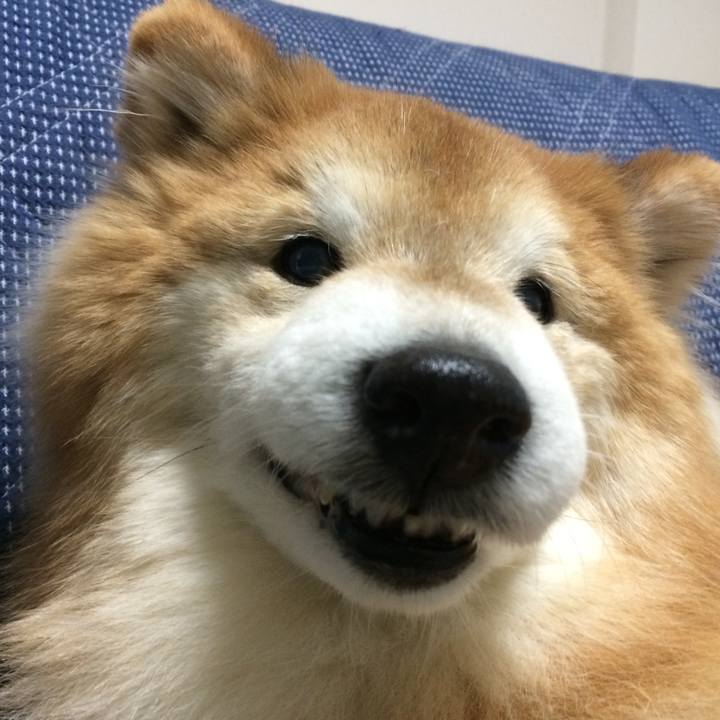 1e689412 f478 4bac a7a0 a1b1fa48b856