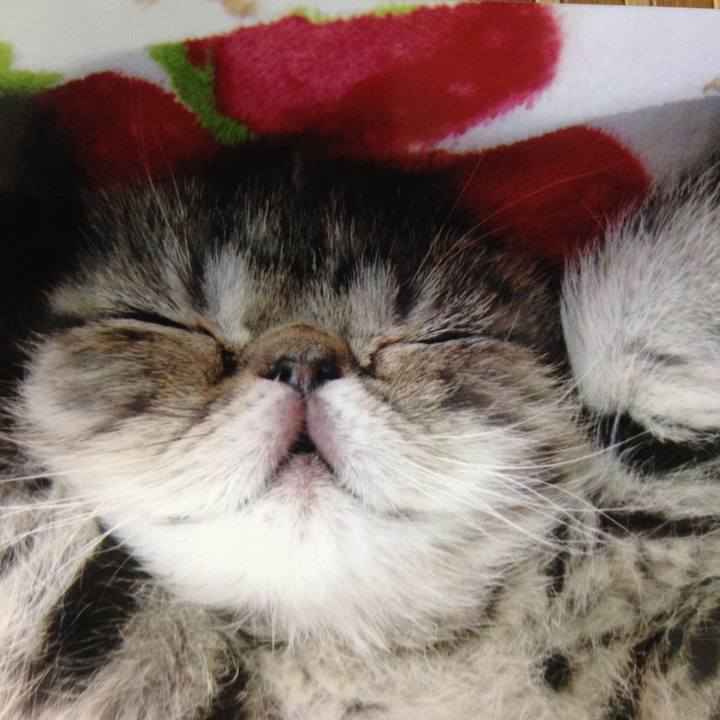 1e69bc24 add9 45ec b683 ebb21610a87d