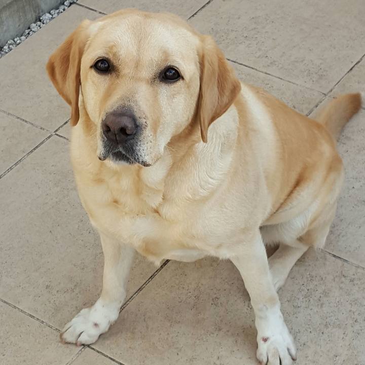 1e69bd4a 1c5d 4278 8db1 9023d2d1bc75