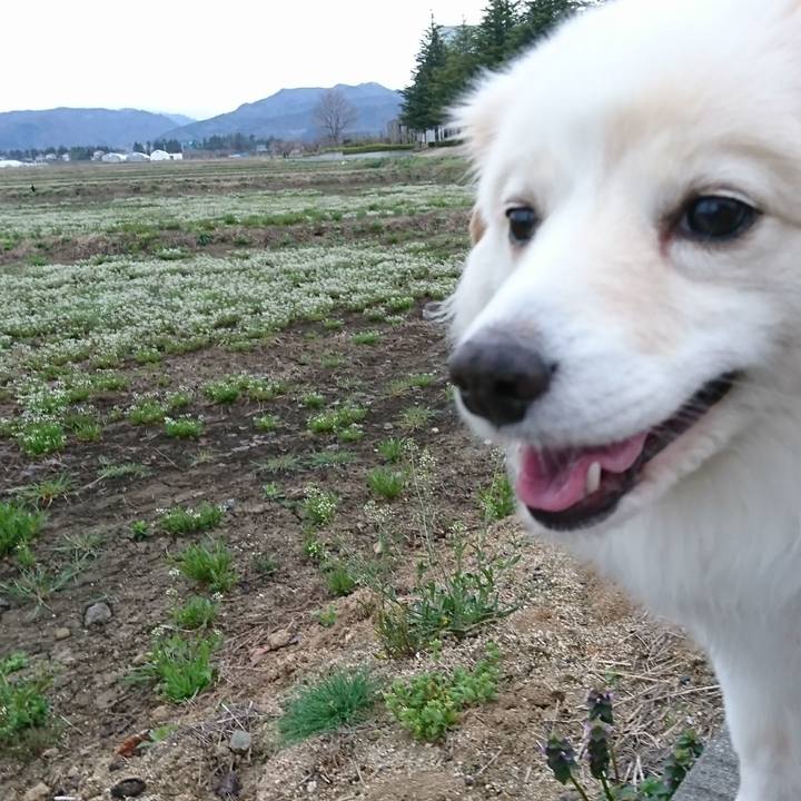 1e69f7fc b705 4fe9 8a7c 647f3edd2e76