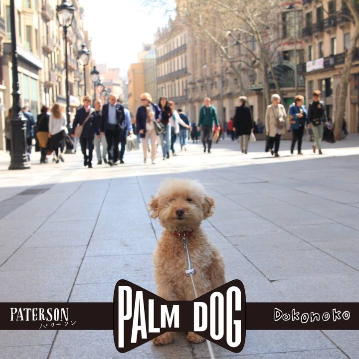 1e6a8b07 1e61 4837 a705 09989bd60a5c