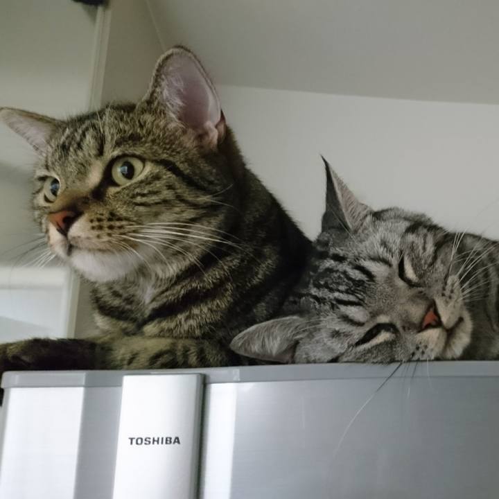 1e6b2356 82a2 4fec 8ecc ffc78e666230