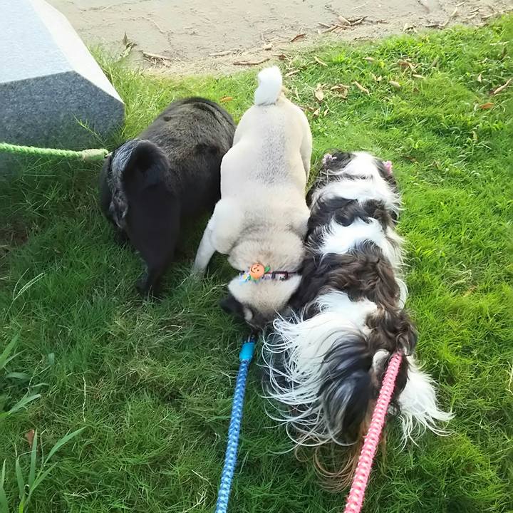 1e6b632d ddde 417e a67d 94b72716b8b7