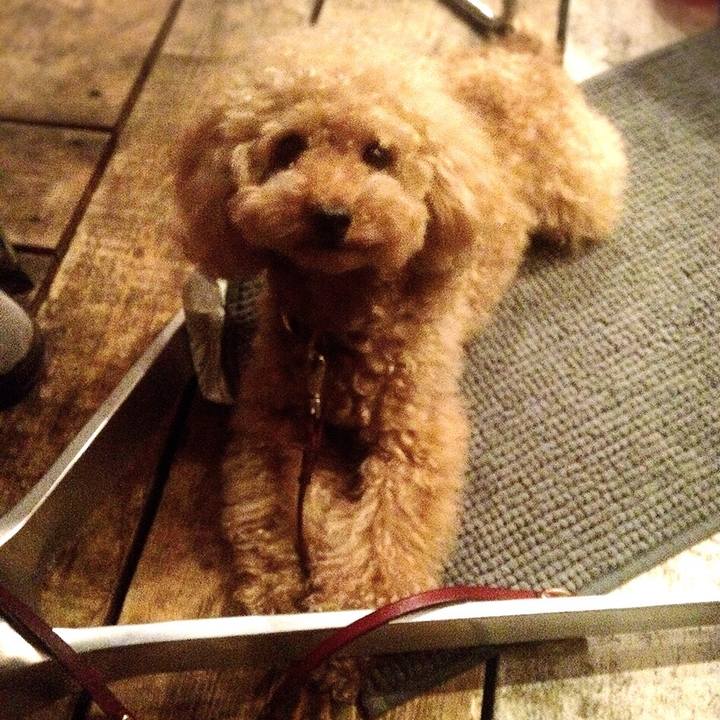 1e6c1a1c bd46 4afa ad37 0b99e342ed92