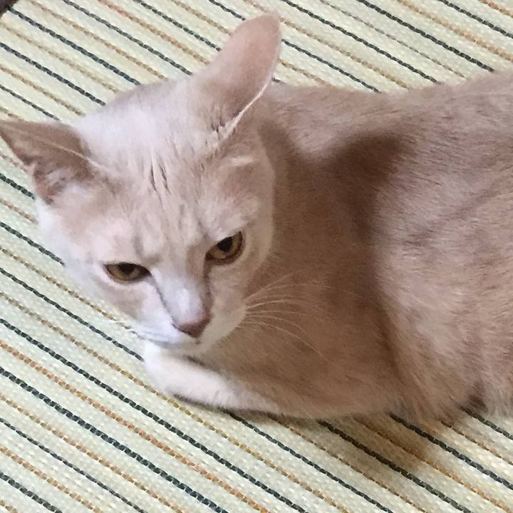 1e6ca1ca 2325 43b8 99d5 00c6062c545f