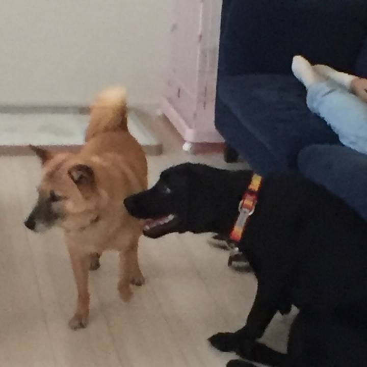 1e6d0fdc 373e 49b6 b91a e1f2d46edf31