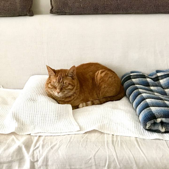 1e6d325f 1cf3 4169 9faf 73a80a168664