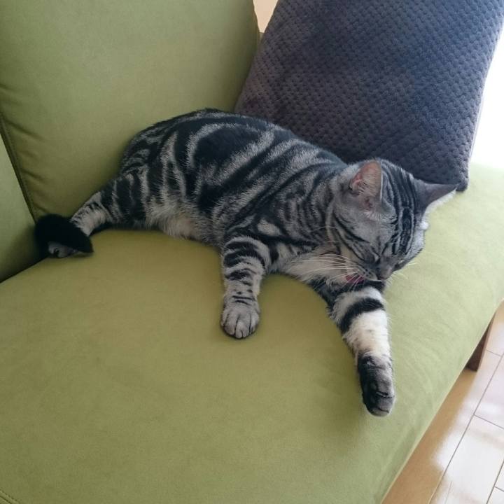 1e6d580c b656 4bd3 9af4 78da515796f1