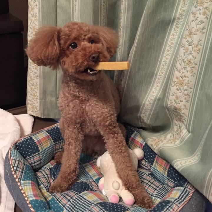 1e6d8bfc de08 4e20 bb7d 6ea1470da199