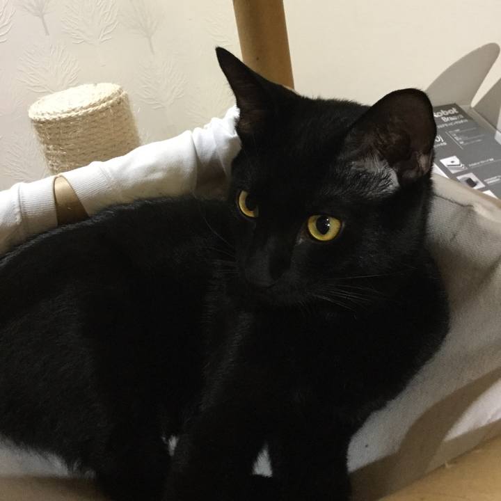 1e6e853c 498c 43c6 830e 140dbf6ed7a2