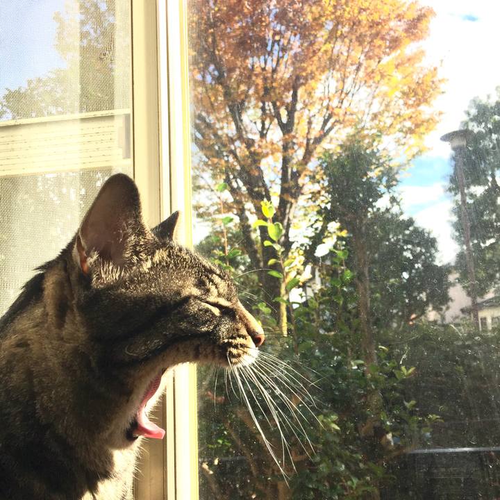 1e6f0aa7 ca24 48d2 abff 3109e8b3a2af