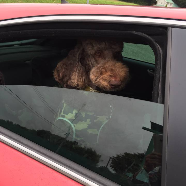 1e6f4cdd 9f62 42f2 a263 deee7342cf19