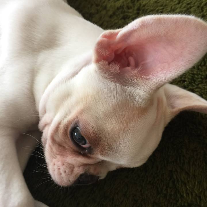 1e70b557 d223 45ce 9f8f 8e3f94da71b1