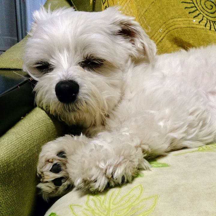 1e70e9d2 2581 48fb 89e2 ccbbe7862d77