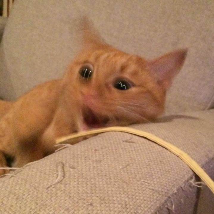 1e71f738 5282 4913 91bf c50765714bc1