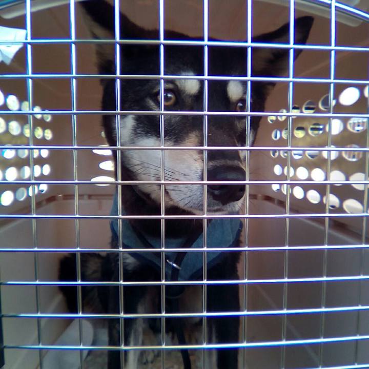 1e722ca1 9532 451e a191 69d5603e0085