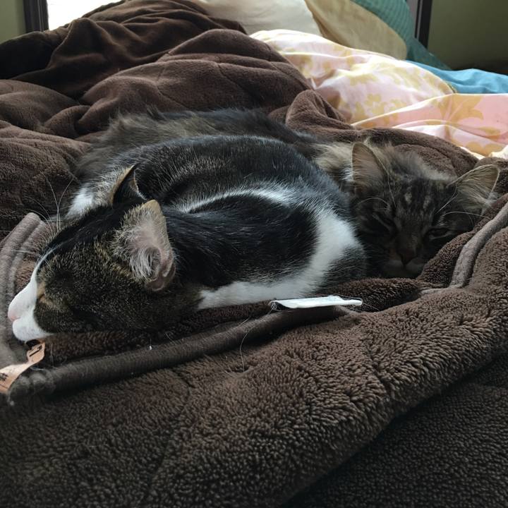 1e728028 77e5 4d37 b1d3 847d0d7ec118