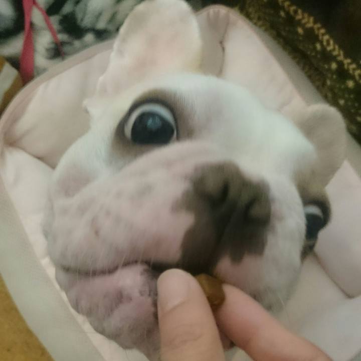 1e72c629 3c87 43f5 97e8 41576b118c7f