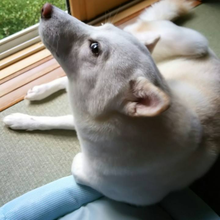 1e730965 6c32 4eb1 8db7 a670f7a6f74f