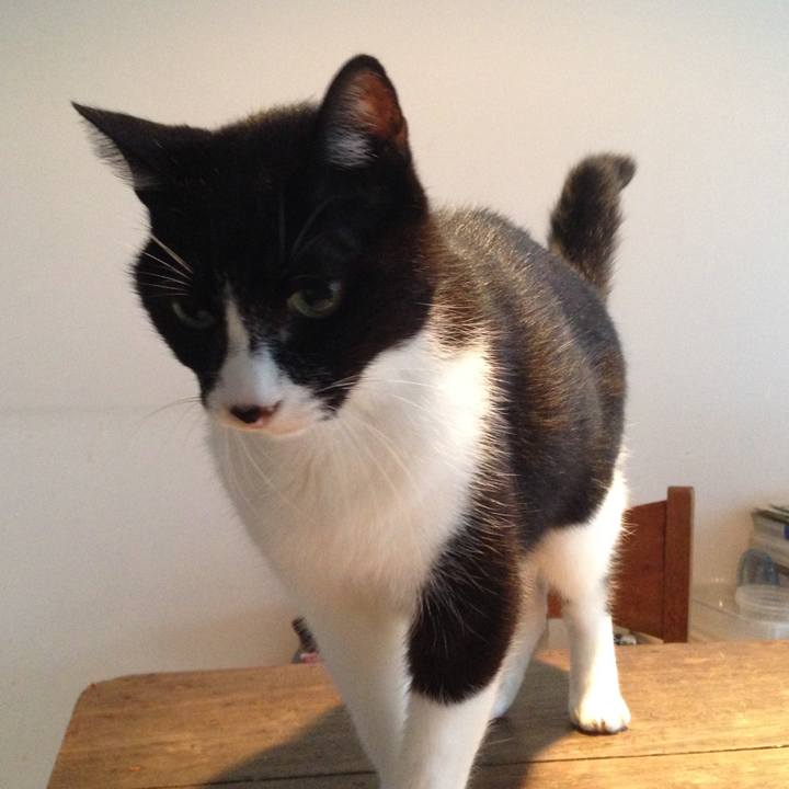 1e73d60e 2d79 4deb b68e 53237fc01eea