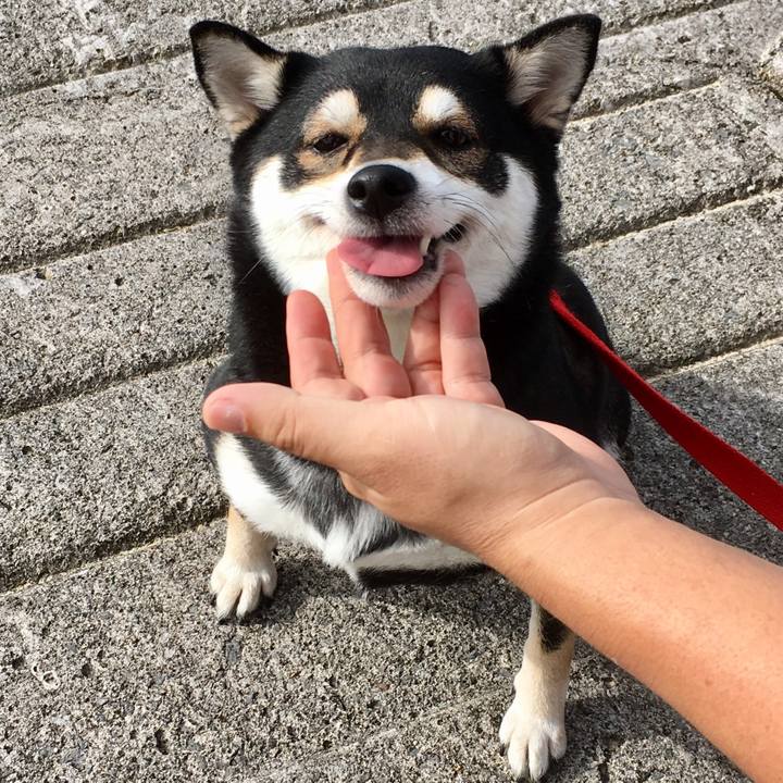 1e73f5ad 2b15 409f 9ba7 2640487f8fb5