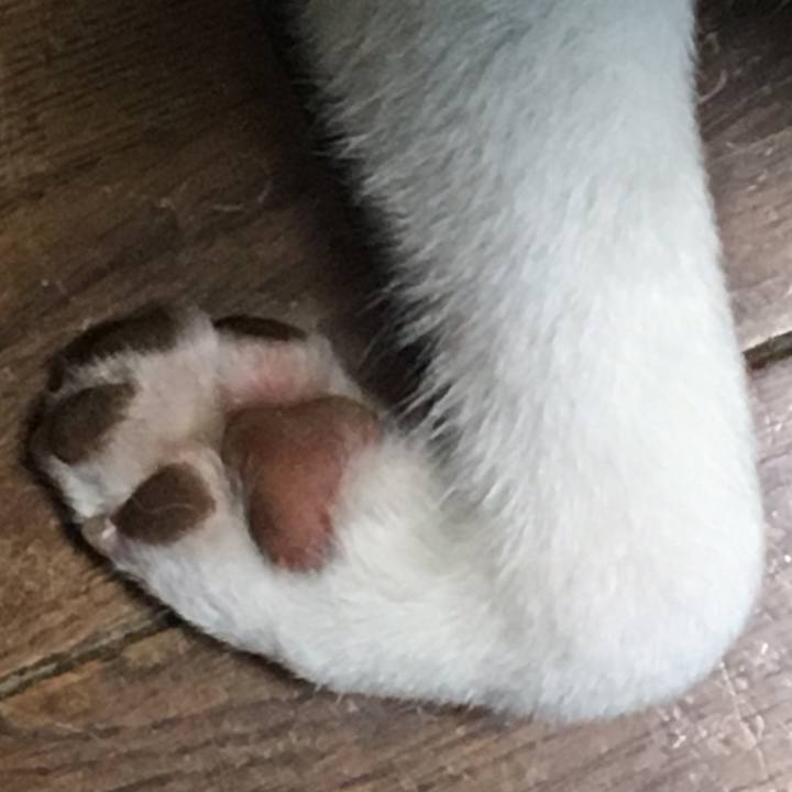 1e741b71 04a8 4dde 9d34 bb2352726b07