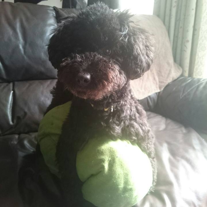 1e742c94 749f 443e a7d6 4e7d5c3fe656