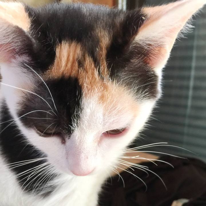 1e74404e b58c 47c6 a957 a86291669937