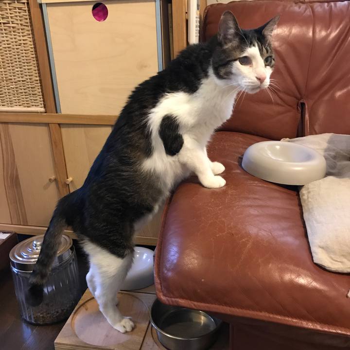 1e74746d 2c4c 4bd0 a918 6d4e7bf7b09b