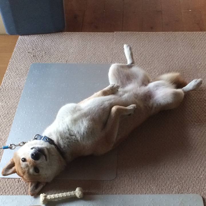 1e74afa5 30d5 40a9 9d4d 4e0ae198d2c7