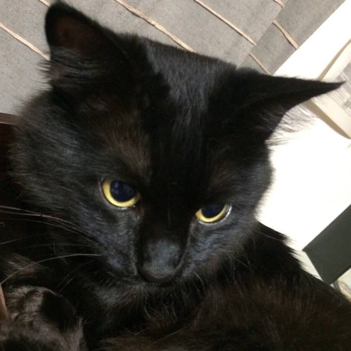 1e75b7c5 4b42 4fc4 b909 8b561e550627