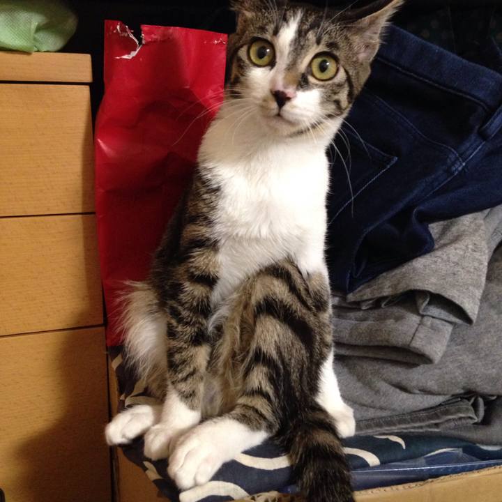 1e75f135 44f8 4920 9f2a 30cbe652400c