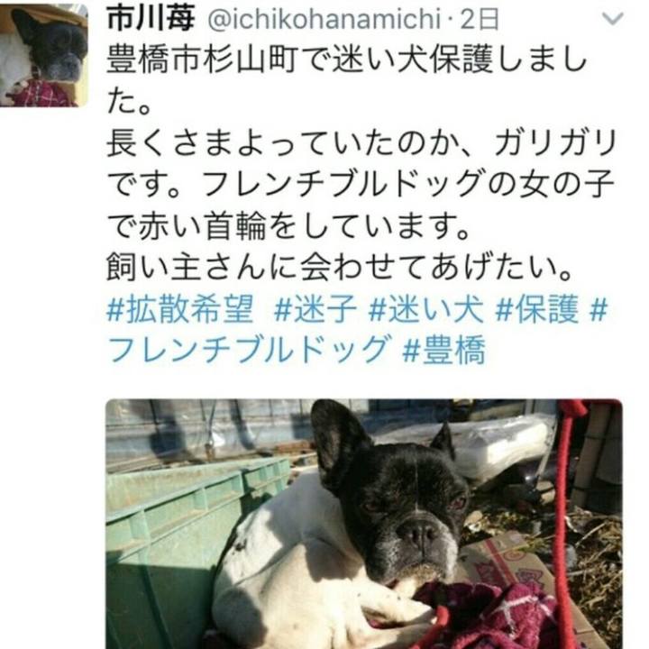 1e761f06 bddd 4b70 bb3d cfa70852a848