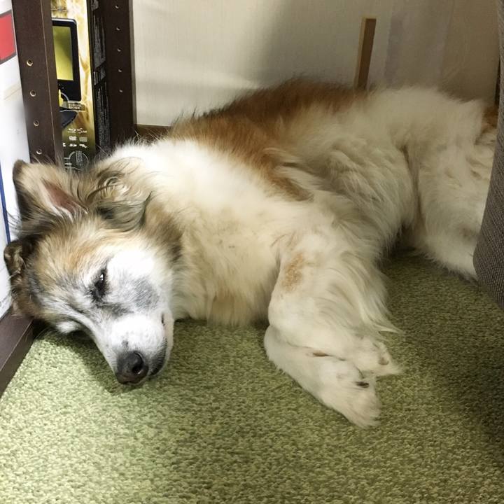 1e766a92 fdf4 4e5e 9812 67d563481253