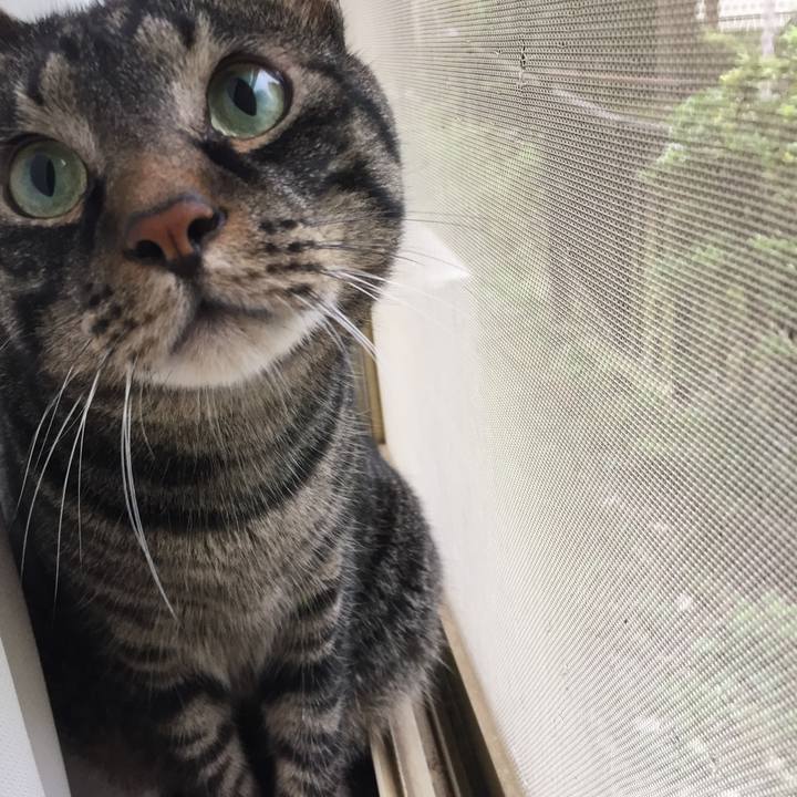 1e76b7b5 659a 4f22 85d5 3634b36194ed