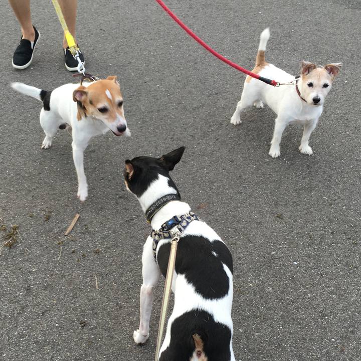 1e77cbc1 729c 49db a779 603294093d76