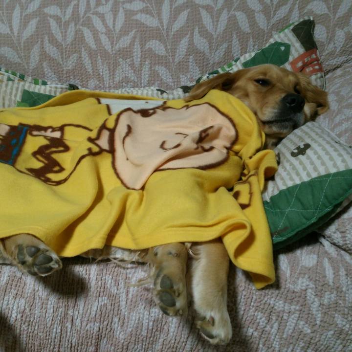 1e77e403 9046 4ba4 996e fbbe3d4d7376