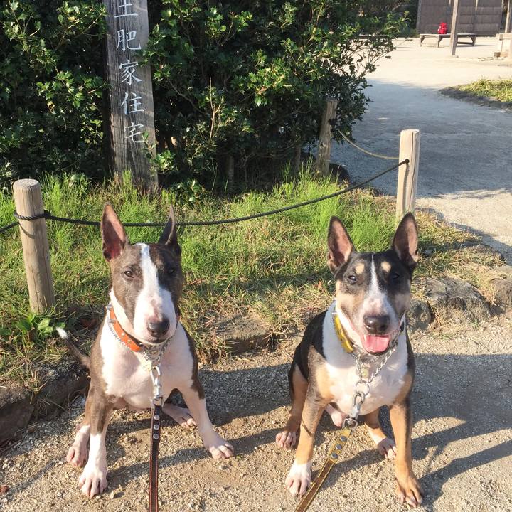 1e79494a f06e 484c a931 b5100c8f1f1f